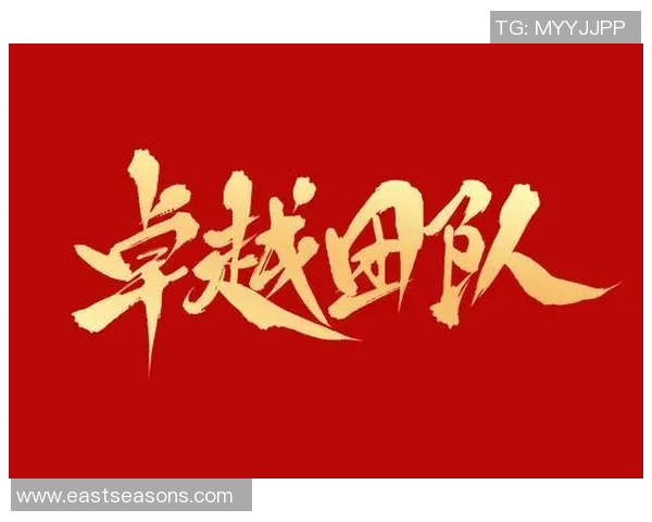 武汉网球队展现卓越团队协作精神助力联赛佳绩分析