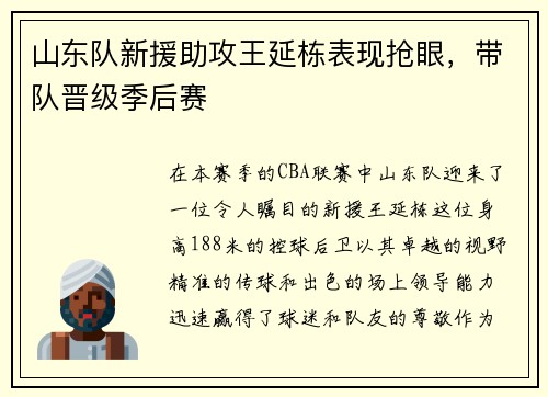山东队新援助攻王延栋表现抢眼，带队晋级季后赛