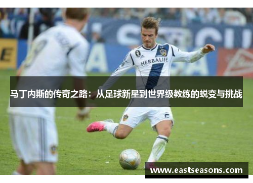 马丁内斯的传奇之路：从足球新星到世界级教练的蜕变与挑战